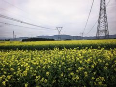 -牛街螺丝田