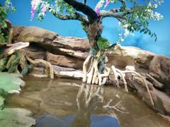 -沙沙哗啦海洋馆(华宇百花谷店)