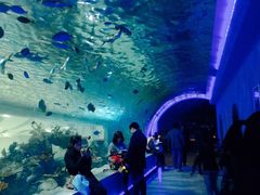 -常州海昌海洋探索馆