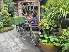 -青城甲(青城山店)