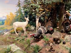 -陕西自然博物馆