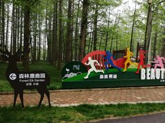 -日照海滨国家森林公园
