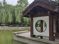 -团结湖公园