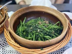 -熠盛粤味·顺德桑拿鸡(永康路店)