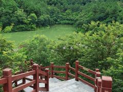 -广州白江湖森林公园