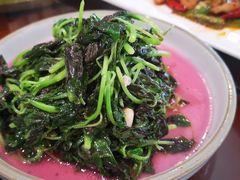 清炒米苋-涵苑私宴定制(外滩店)