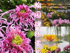 -中国翰园碑林
