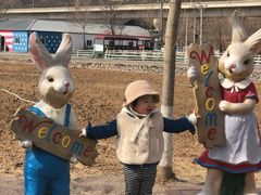 -大连铭湖国际观光牧场