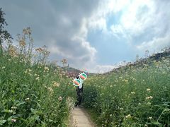 -苏州上方山国家森林公园