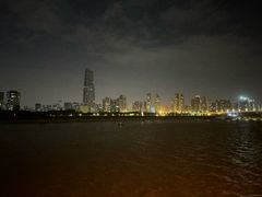 -武汉两江游览·夜游长江(汉口粤汉码头)