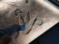 -湖南省地质博物馆