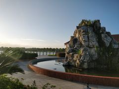 -上海都市菜园
