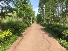 -白鹭湾湿地公园