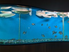-碧涛阁水世界酒店·洗浴·自助(万家丽路店)