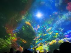 -烟台海昌鲸鲨海洋公园