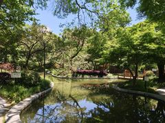 -上海瑞金洲际酒店