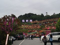 -枇杷园食为鲜火锅(南山店)