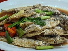 -芦茨金富饭庄·25年老字号·专做稻草鸡