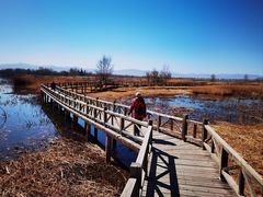 -野鸭湖国家湿地公园