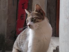 -图味美小黄鱼·景德菜(浙江路店)