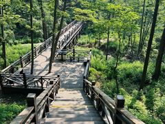 -沂蒙山旅游区龟蒙景区