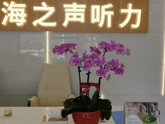 -海之声助听器峰力直营店深圳旗舰中心
