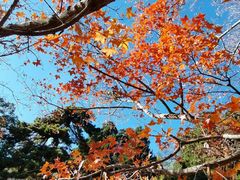 -香山公园