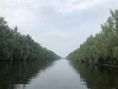 -白洋淀景区