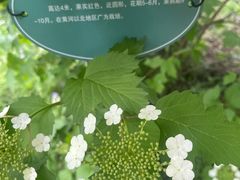 -辽宁友谊宾馆