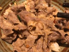 大肉片子-老墙根涮肉·铜锅·烧烤(欢乐谷·王四营店)