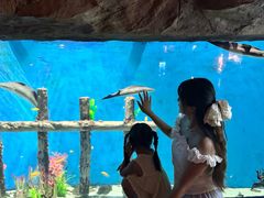 -南昌融创海世界