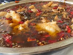 水煮鱼-红京鱼(西坝河店)