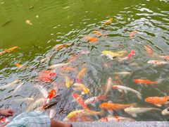 -水濂山森林公园