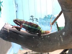 -石家庄市动物园