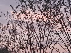 -牛岗山公园