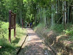 -苏家围·东江画廊旅游景区
