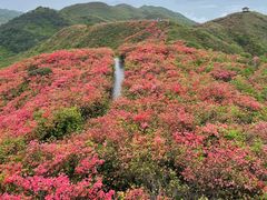 -大围山国家森林公园