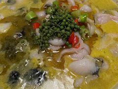 经典老坛酸菜鱼-凤栖府川菜(沙河店)