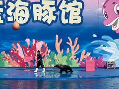 -北戴河圣蓝海洋公园