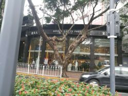 -金夫人婚纱摄影(天河又一城店)