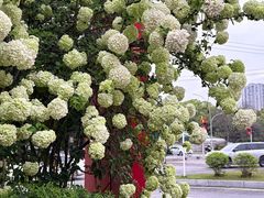 -大龙山(地铁站)