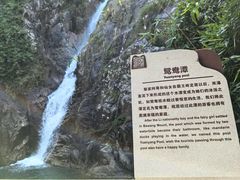 -海南霸王岭国家森林公园