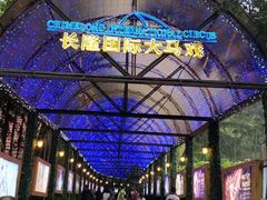 -广州长隆国际大马戏