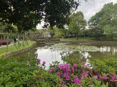 -鼓岭旅游度假区