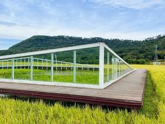 -风云岭森林公园