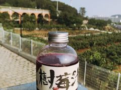 -大连北马山庄