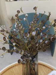 -VE专注问题肌·赛诺龙&科学美肤中心