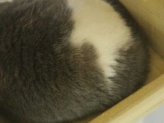 -万小咖.猫咖(中山路天虹店)