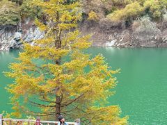 -叠溪松坪沟景区