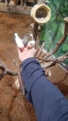 -Zoolung Zoolung动物主题公园(海信广场店)